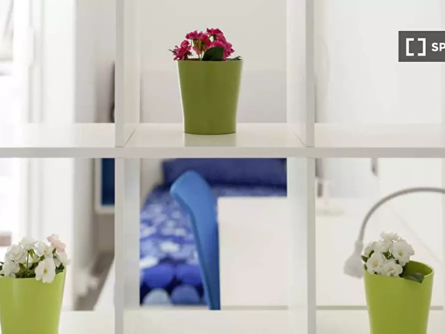 Immagine 10 di Camera condivisa in affitto  in Via Giovanni Amendola a Bologna