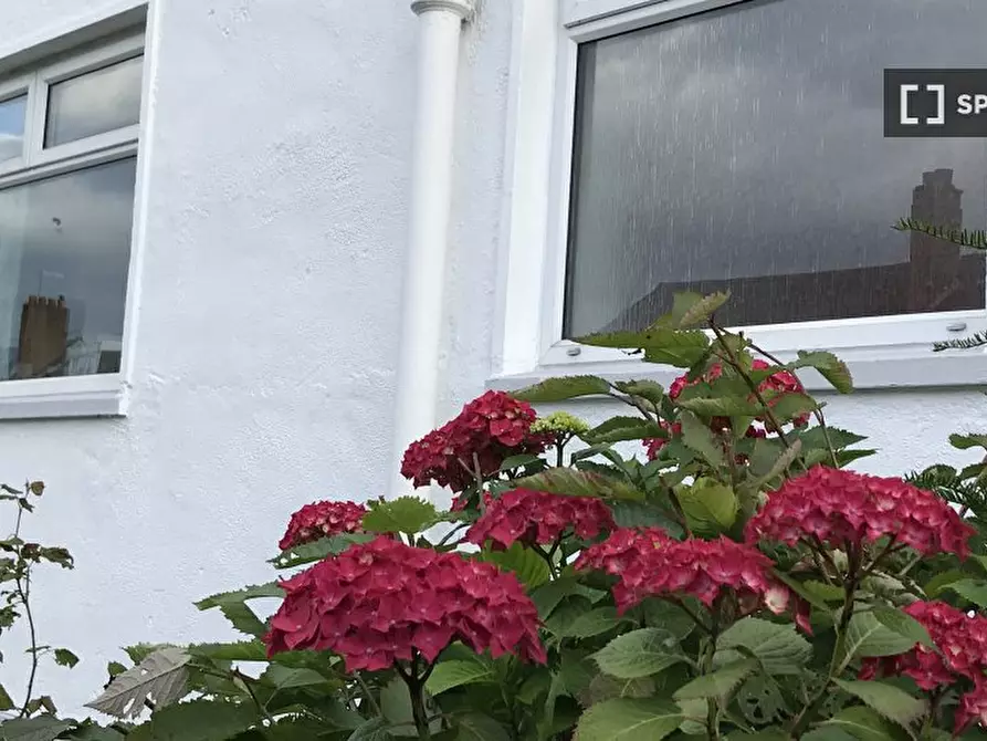 Immagine 13 di Camera condivisa in affitto  in Peveril Terrace a Liberton and Craigmillar