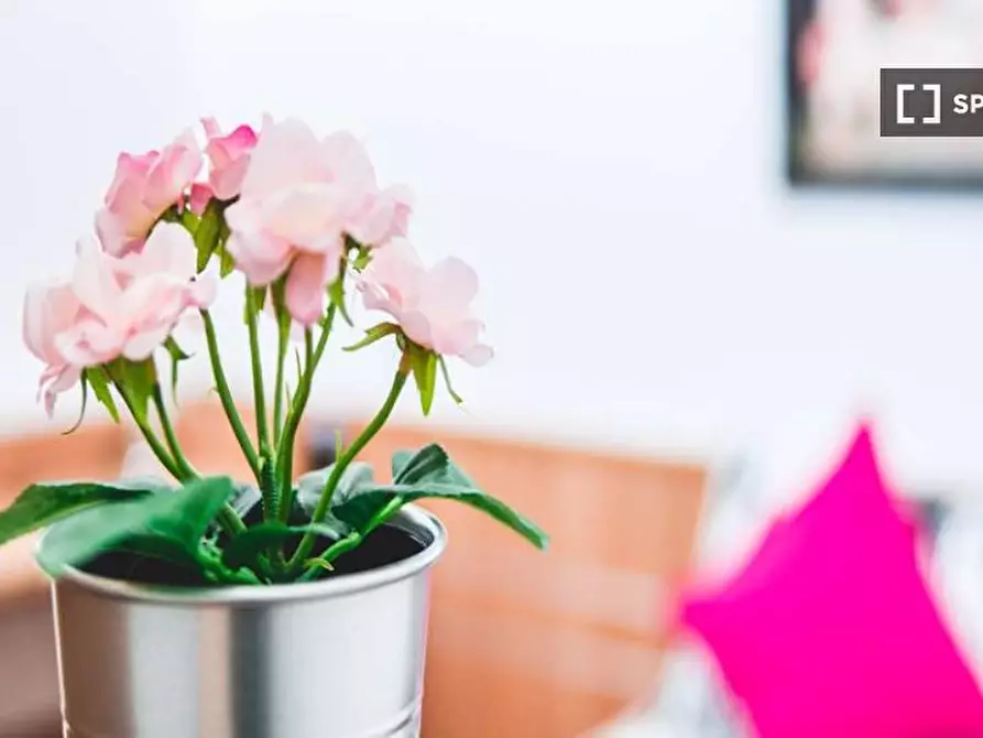 Immagine 7 di Camera condivisa in affitto  in Viale Vincenzo Lancetti Milan a Milano