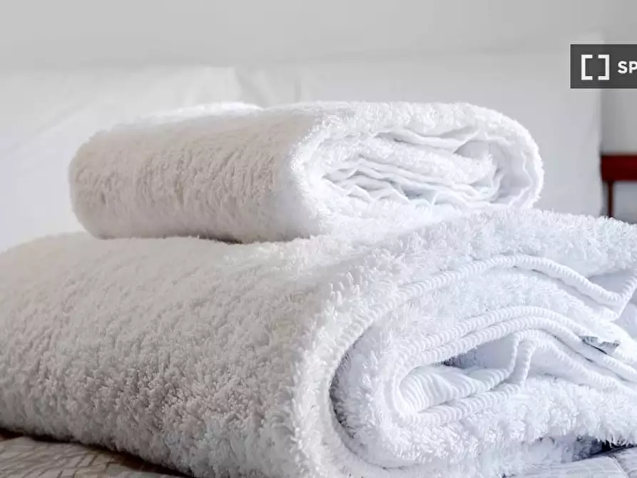 Immagine 14 di Appartamento in affitto  in Via Vincenzo Ussani a Roma