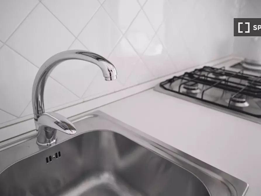 Immagine 5 di Appartamento in affitto  in Via Giulio Romano a Milano