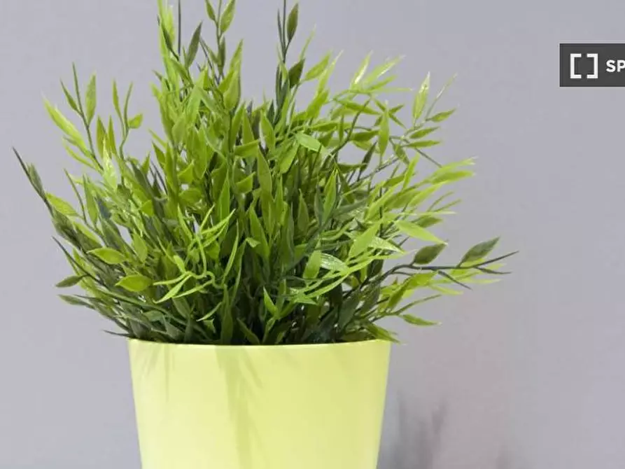 Immagine 7 di Camera condivisa in affitto  in Bastioni di Porta Volta a Milano