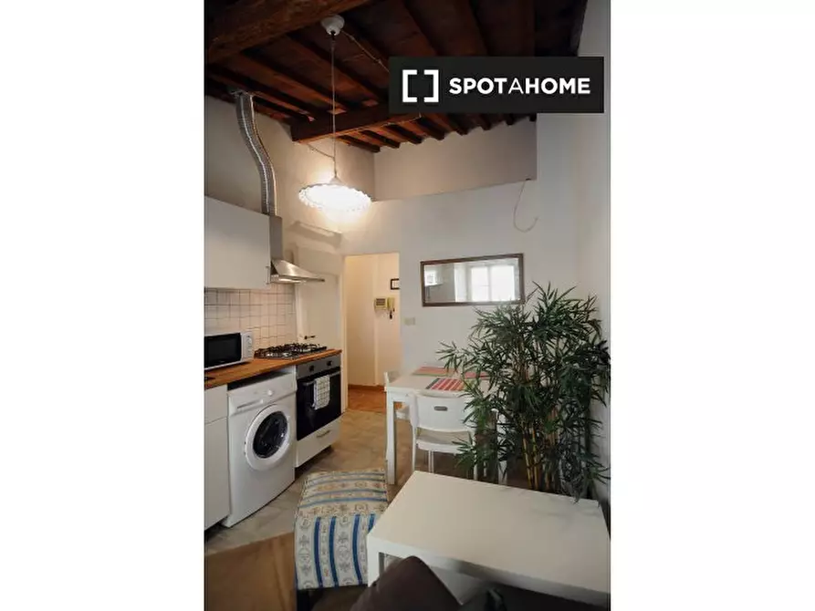 Immagine 6 di Appartamento in affitto  in Lungarno Amerigo Vespucci a Firenze