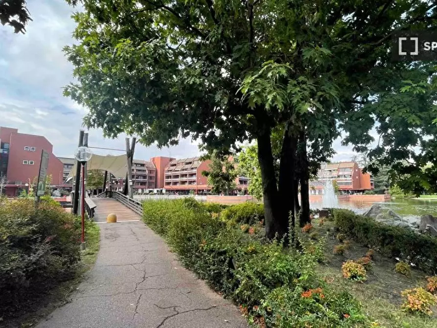 Immagine 4 di Appartamento in affitto  in Via Giotto a Basiglio