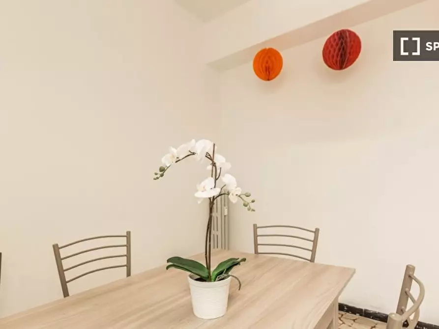 Immagine 8 di Camera condivisa in affitto  in Todaro a Bologna