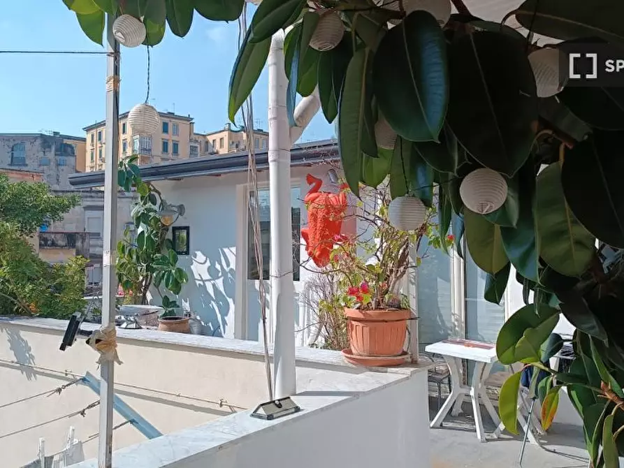 Immagine 5 di Appartamento in affitto  in Via S. Severo a Capodimonte a Napoli