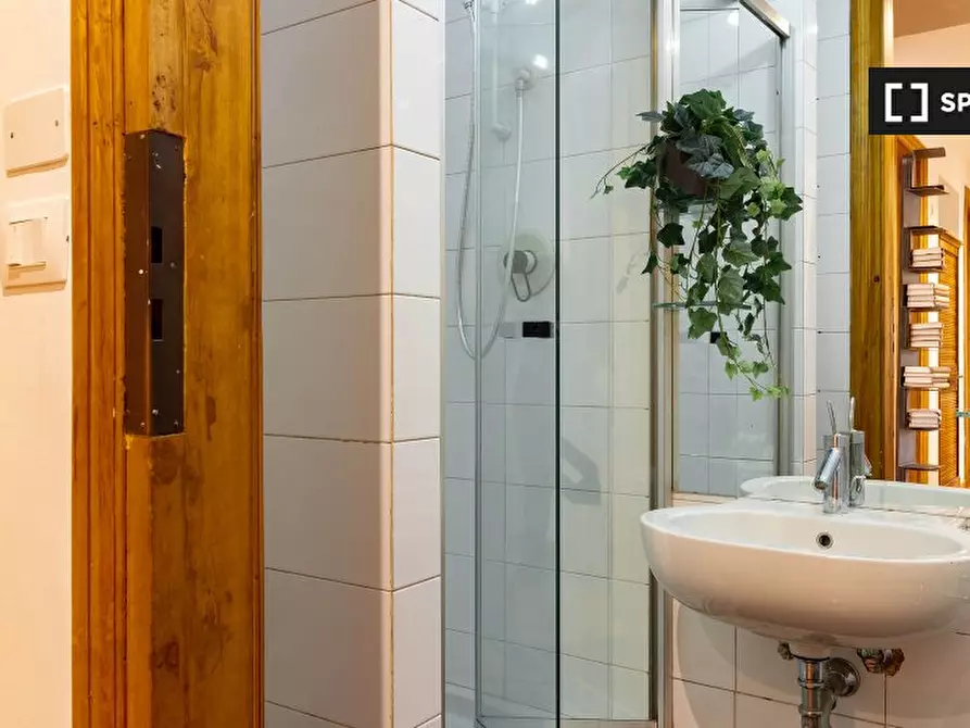 Immagine 13 di Camera condivisa in affitto  in Via Luigi Leonardo Colli a Torino