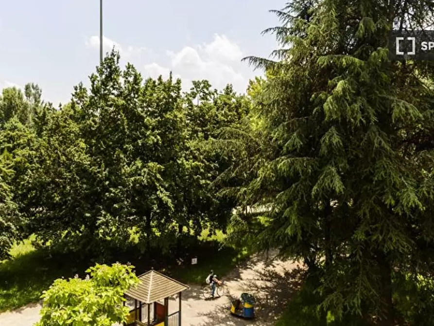 Immagine 13 di Camera condivisa in affitto  in Via Delle Ande a Milano