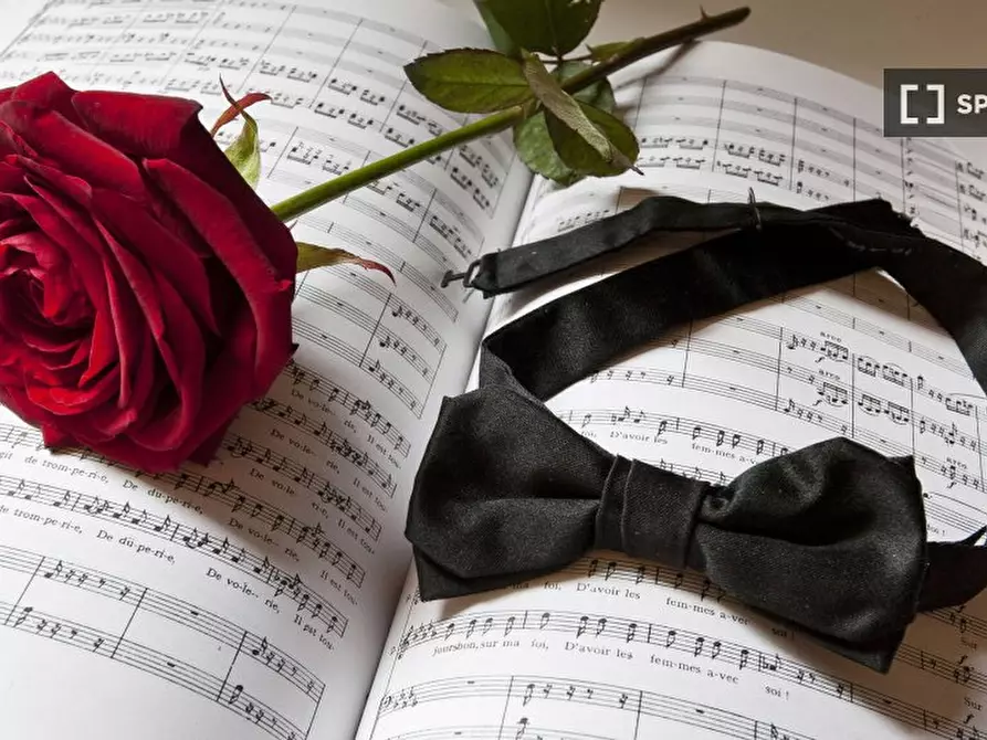 Immagine 2 di Appartamento in affitto  in Via Caretto a Milano