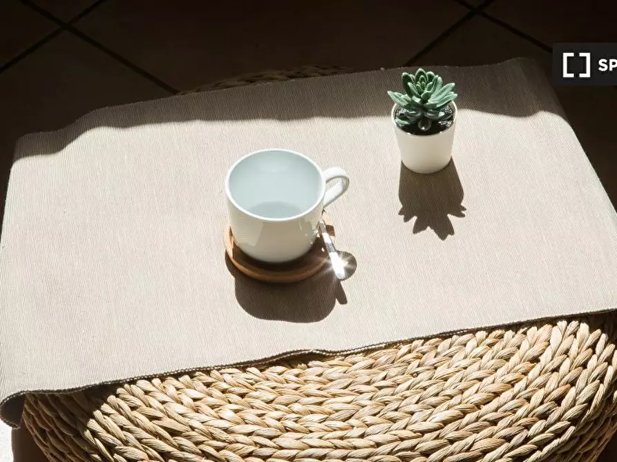 Immagine 18 di Appartamento in affitto  in Viale Fratelli Rosselli a Firenze