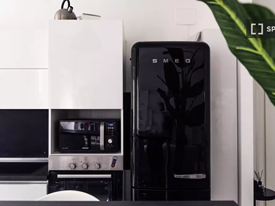 Immagine 9 di Appartamento in affitto  in Via Curio Dentato a Milano