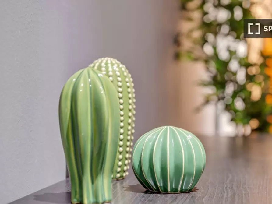 Immagine 18 di Camera condivisa in affitto  in Via Giotto a Milano