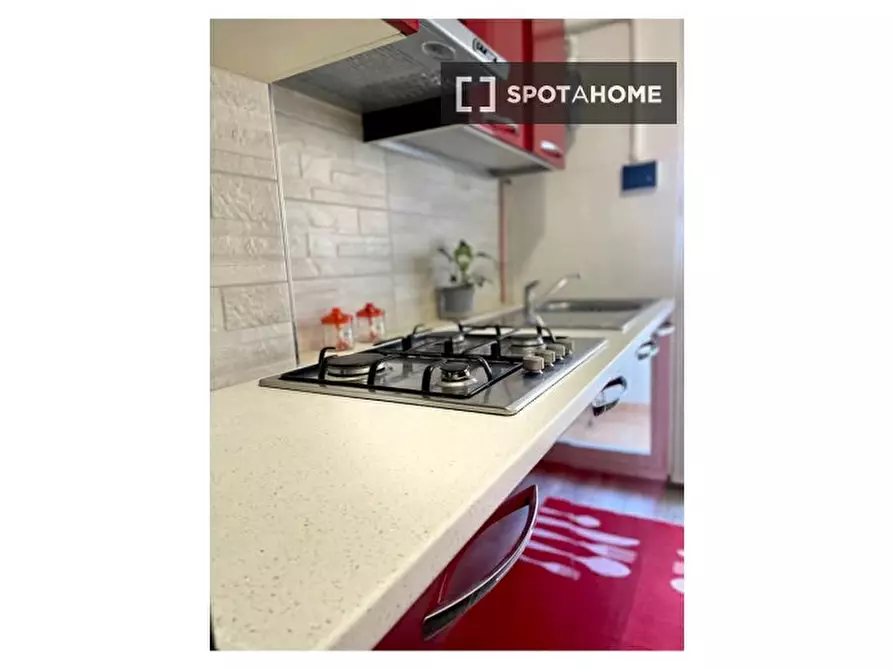 Immagine 14 di Camera condivisa in affitto  in Via dei Salici a Milano