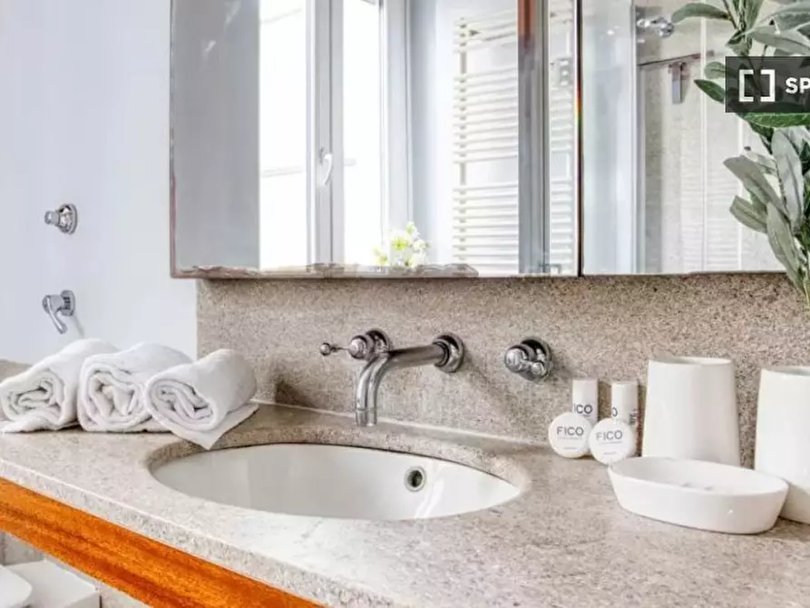 Immagine 16 di Appartamento in affitto  in Via Mosè Bianchi a Milano