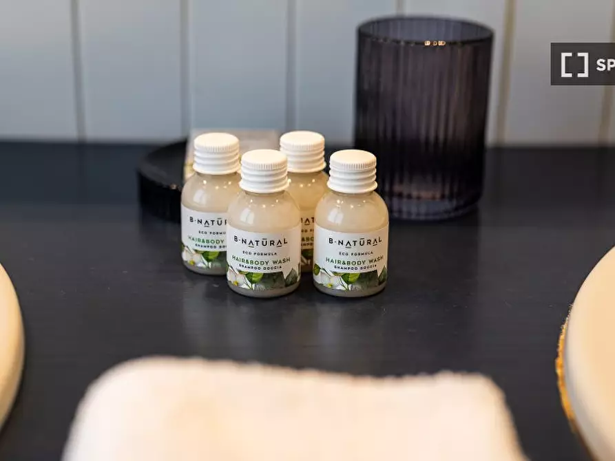 Immagine 7 di Appartamento in affitto  in Viale Carlo Espinasse a Milano