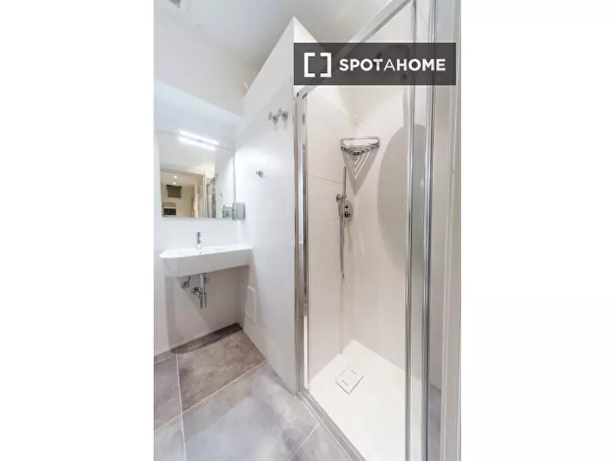 Immagine 6 di Camera condivisa in affitto  in Via Pier Dionigi Pinelli a Torino