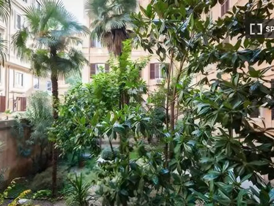 Immagine 5 di Appartamento in affitto  in Via Catone a Roma