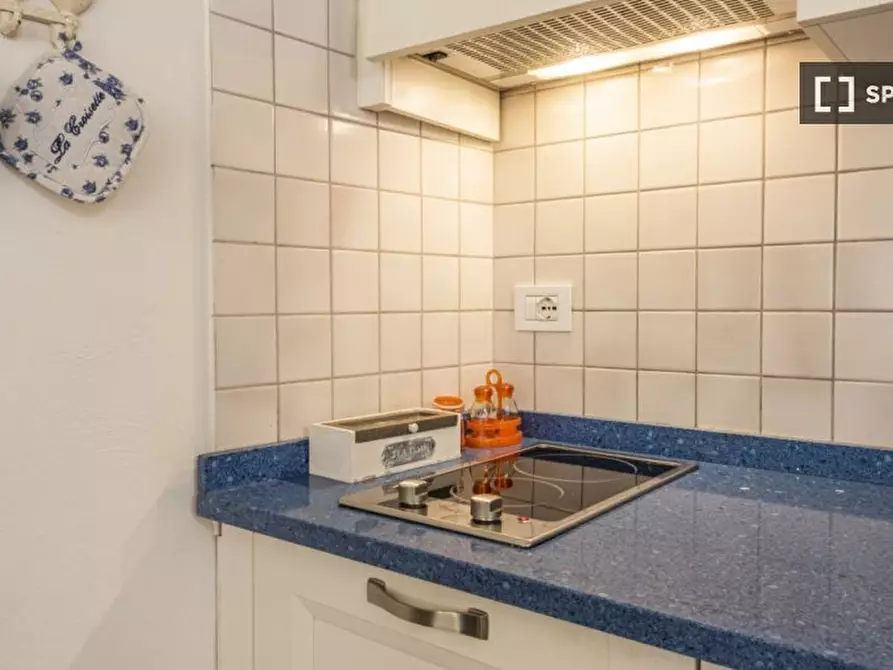 Immagine 13 di Appartamento in affitto  in Via Maggio a Firenze