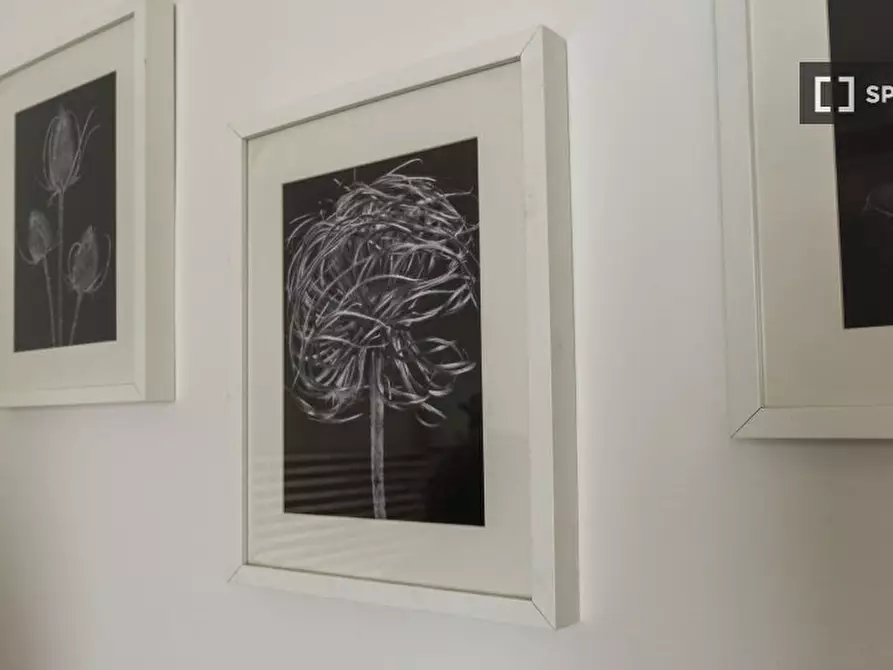 Immagine 18 di Appartamento in affitto  in Via Riva di Reno a Bologna