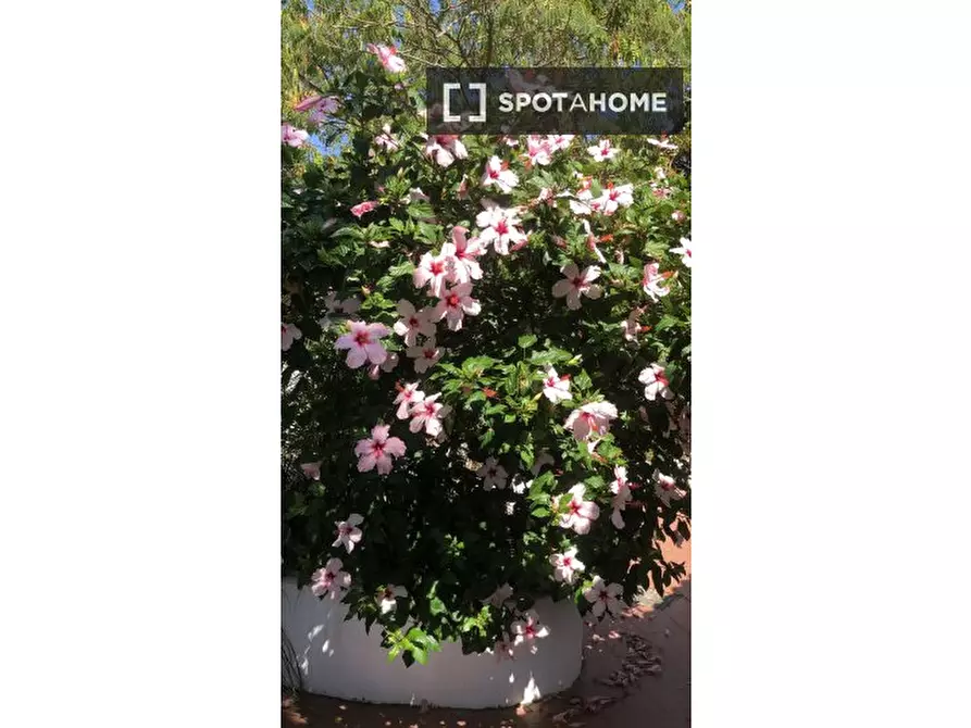 Immagine 2 di Appartamento in affitto  in Via Campi Flegrei a Pozzuoli