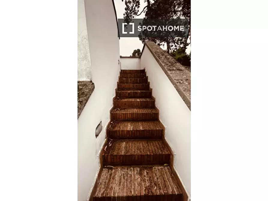 Immagine 19 di Camera condivisa in affitto  in Via della Camilluccia a Roma