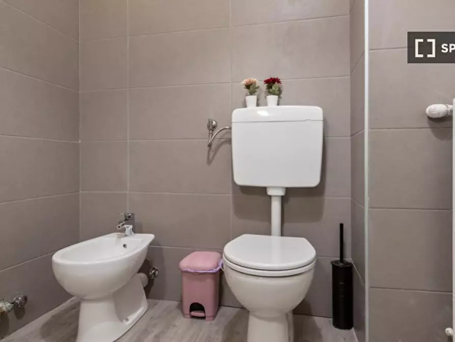 Immagine 11 di Camera condivisa in affitto  in Via Curtatone a Milano