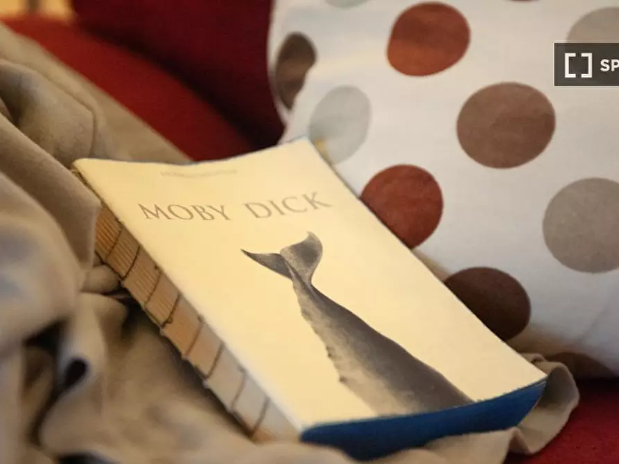 Immagine 6 di Appartamento in affitto  in Via Gaetano Milanesi a Firenze