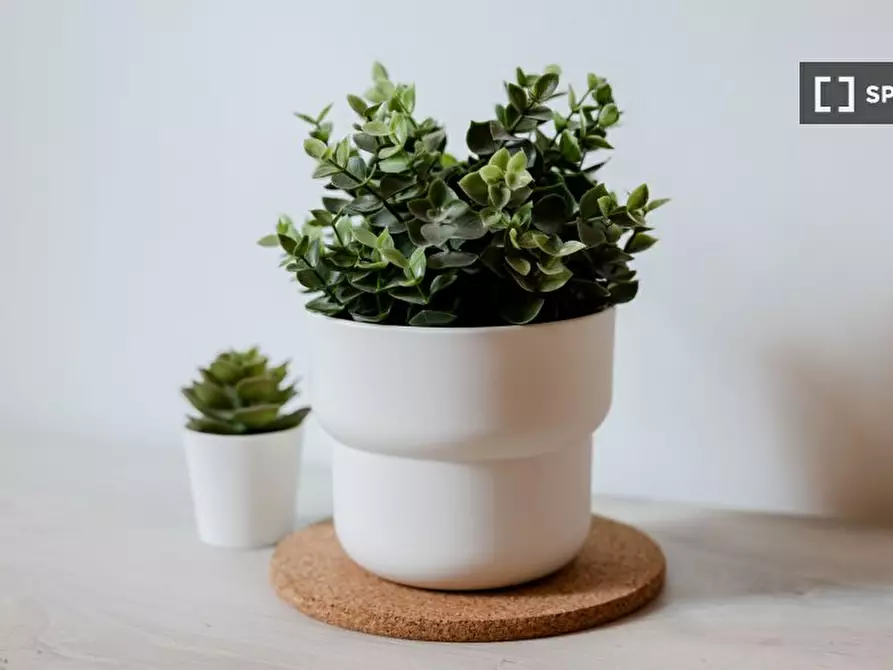 Immagine 18 di Ufficio in affitto  in Via Altacomba a Roma