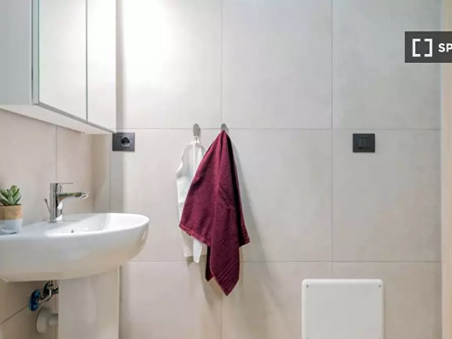 Immagine 17 di Camera condivisa in affitto  in Via Carlo Pedrotti a Torino