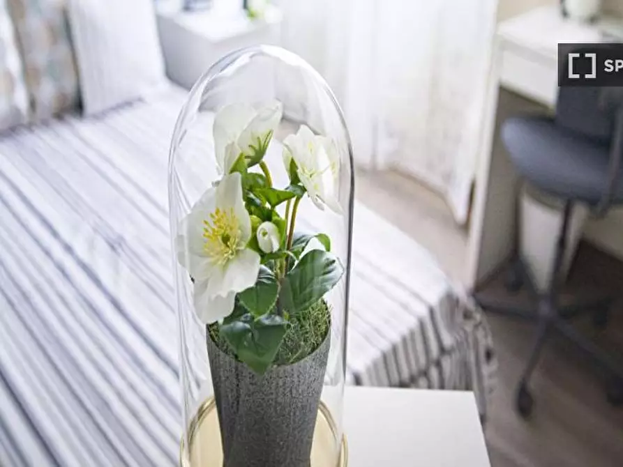 Immagine 4 di Camera condivisa in affitto  in Viale Nazario Sauro a Milano