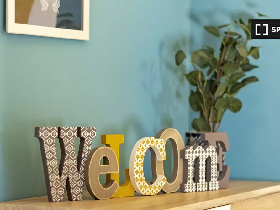 Immagine 13 di Camera condivisa in affitto  in Corso Massimo d'Azeglio a Torino