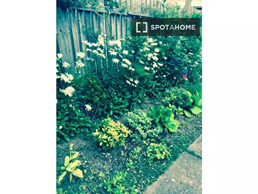 Immagine 13 di Camera condivisa in affitto  in Courtenay Gardens a 