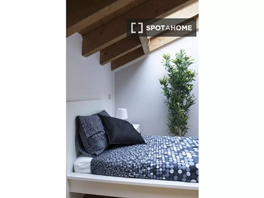 Immagine 15 di Camera condivisa in affitto  in Via Giuseppe De Finetti a Milano