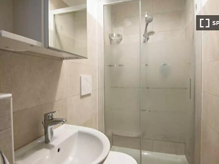 Immagine 16 di Camera condivisa in affitto  in Corso Bramante a Torino