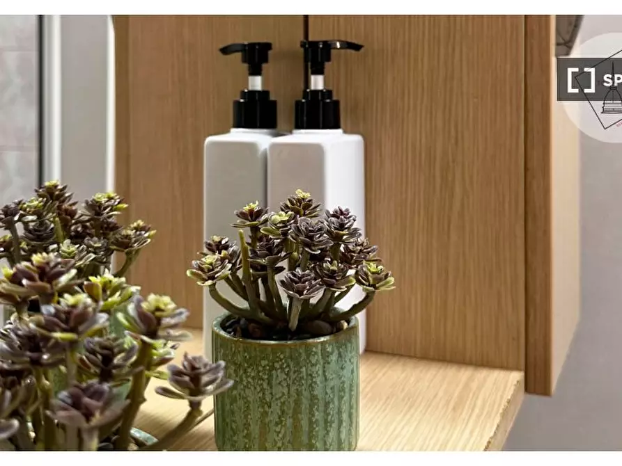 Immagine 6 di Ufficio in affitto  in Via Po a Torino