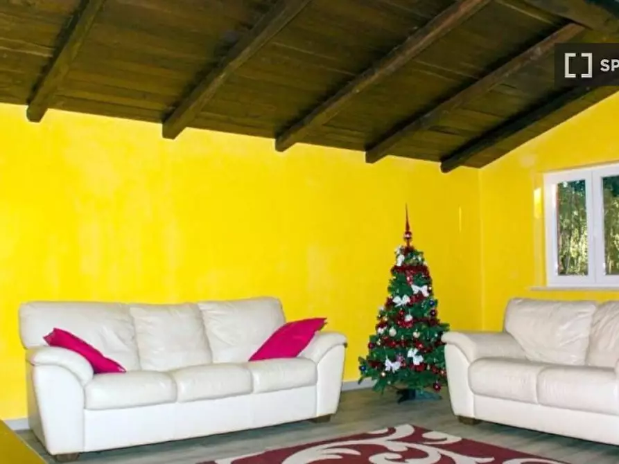 Immagine 11 di Appartamento in affitto  in Via del Ciclamino a Canale Monterano