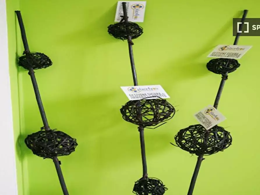 Immagine 2 di Camera condivisa in affitto  in Via Lazzaretto a Milano