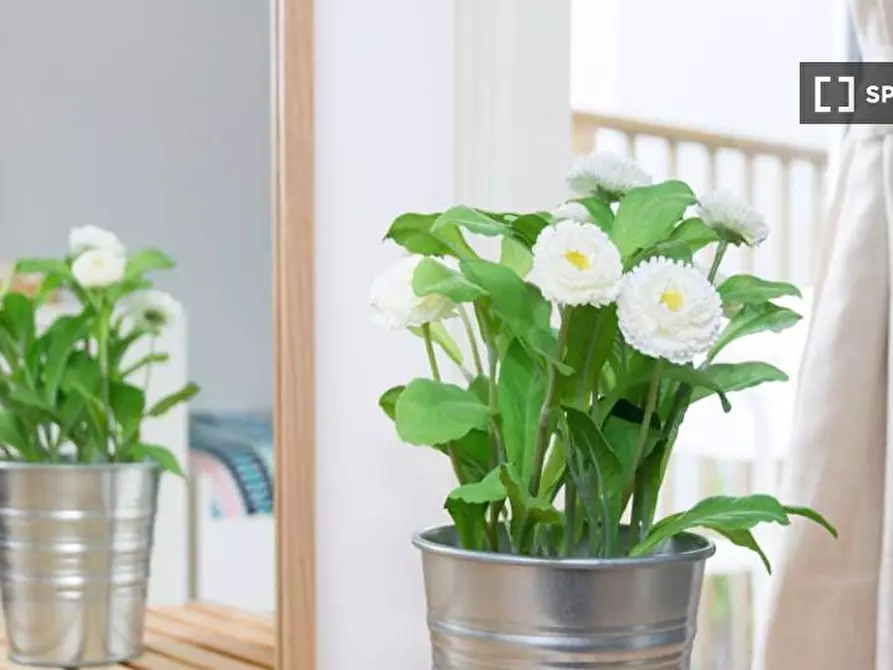 Immagine 7 di Camera condivisa in affitto  in Via Lepanto a Milano