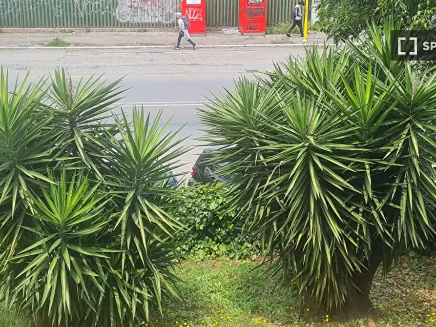 Immagine 4 di Camera condivisa in affitto  in Via Mattia Battistini a Roma