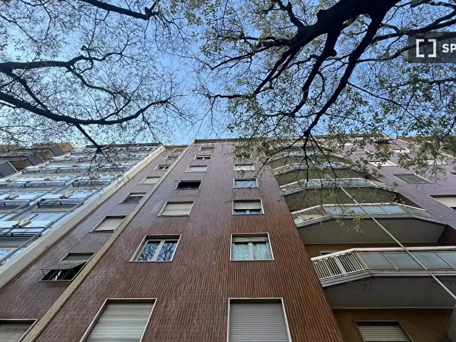 Immagine 14 di Camera condivisa in affitto  in Via Michelangelo Buonarroti a Milano