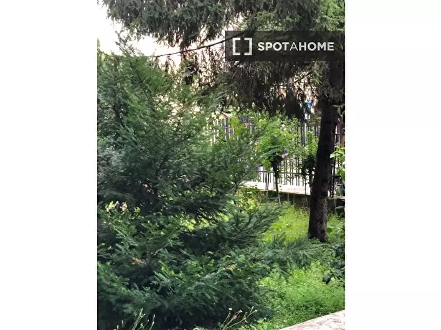 Immagine 2 di Appartamento in affitto  in Via Pellegrino Rossi a Milano