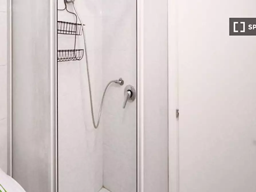 Immagine 6 di Camera condivisa in affitto  in Via Bartolomeo D'Alviano a Milano