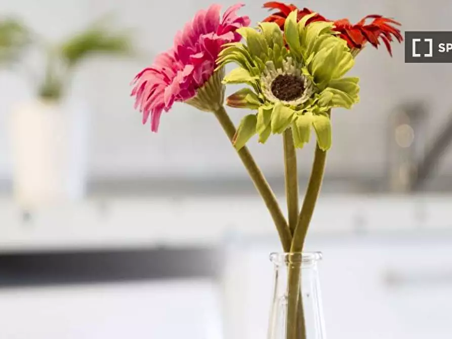 Immagine 15 di Camera condivisa in affitto  in Via Salvatore Barzilai a Milano