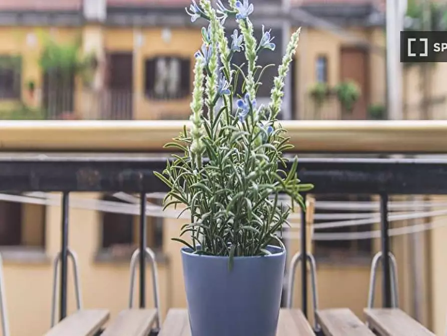 Immagine 17 di Camera condivisa in affitto  in Viale Emilio Caldara a Milano