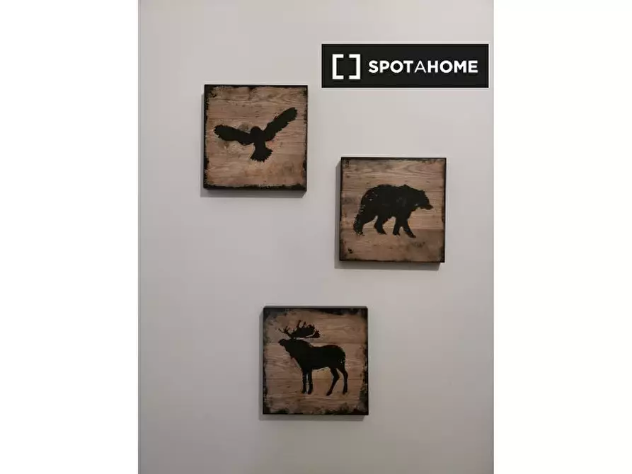 Immagine 4 di Camera condivisa in affitto  in Via Venezia a Genova