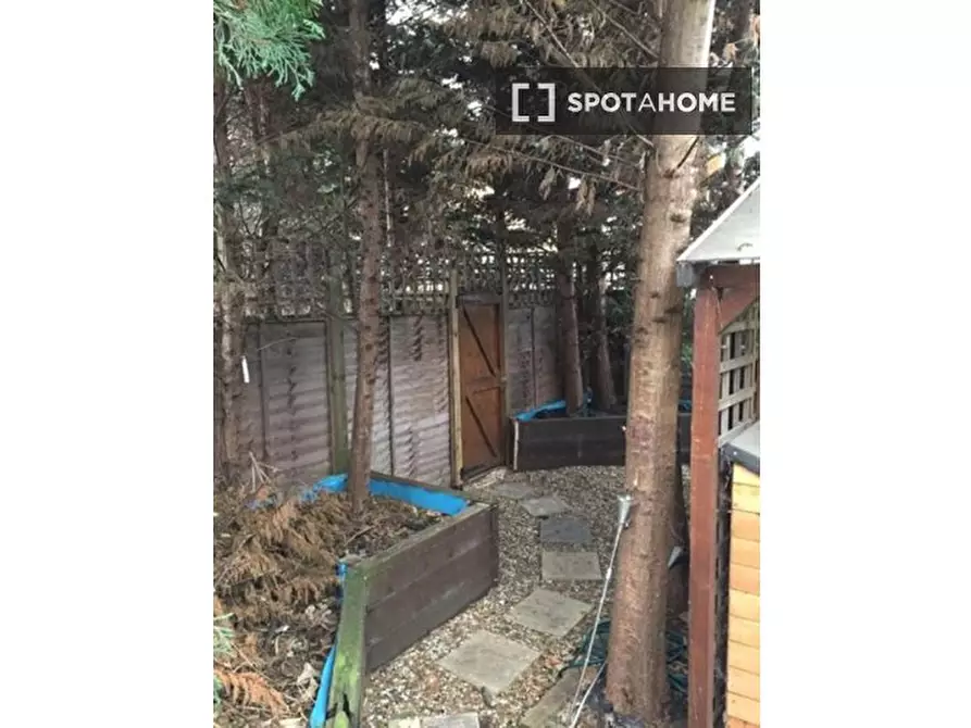 Immagine 15 di Camera condivisa in affitto  in Anson Rd a Brent