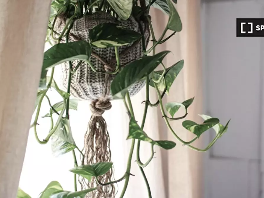 Immagine 7 di Camera condivisa in affitto  in Viale Glorioso a Roma