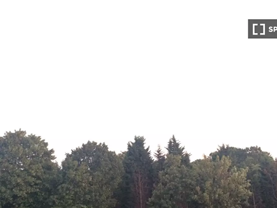 Immagine 9 di Camera condivisa in affitto  in Aylmer Rd a Barnet