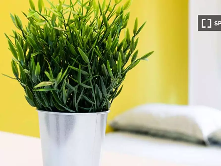 Immagine 6 di Camera condivisa in affitto  in Via Carlo Goldoni a Milano