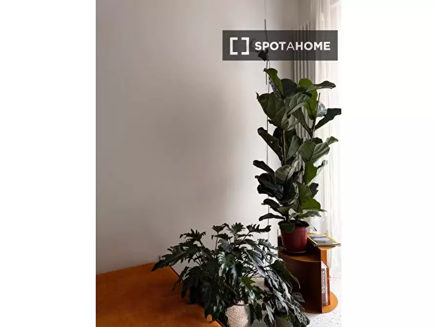 Immagine 4 di Appartamento in affitto  in Via Alfredo Catalani a Milano